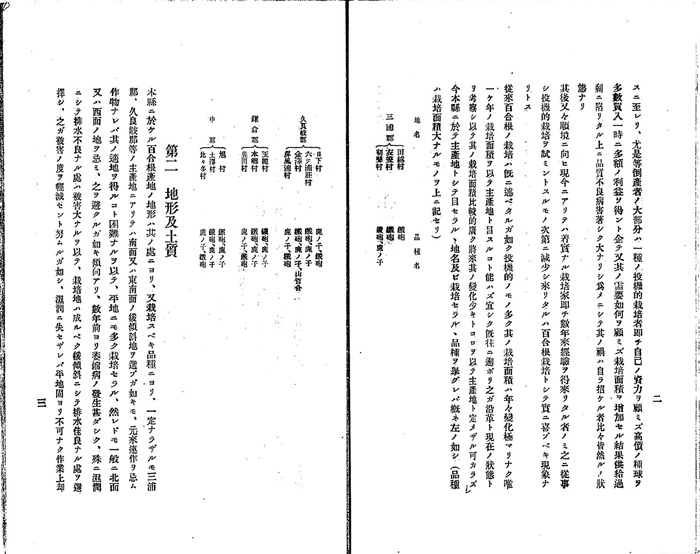 神奈川県に於ける百合根栽培2
